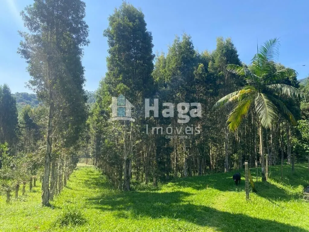 Chácara à venda de 13 ha em Canelinha, SC, Brasil