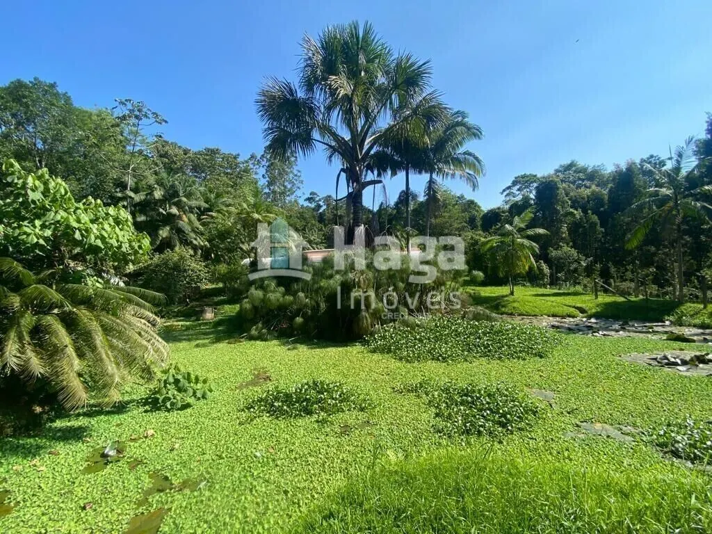 Chácara à venda de 13 ha em Canelinha, SC, Brasil