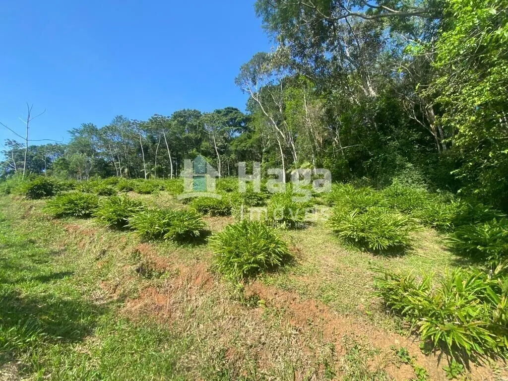 Chácara à venda de 13 ha em Canelinha, SC, Brasil
