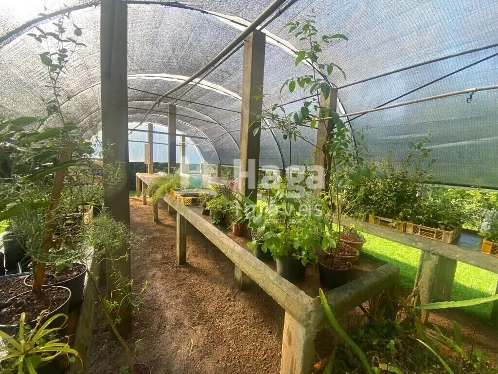 Chácara à venda de 13 ha em Canelinha, SC, Brasil