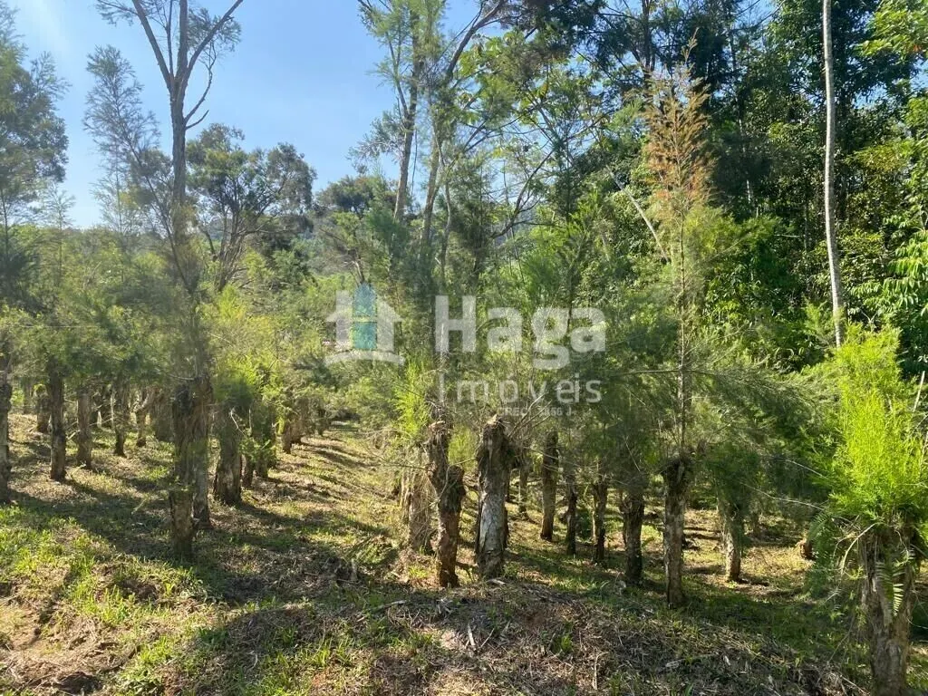 Chácara à venda de 13 ha em Canelinha, SC, Brasil