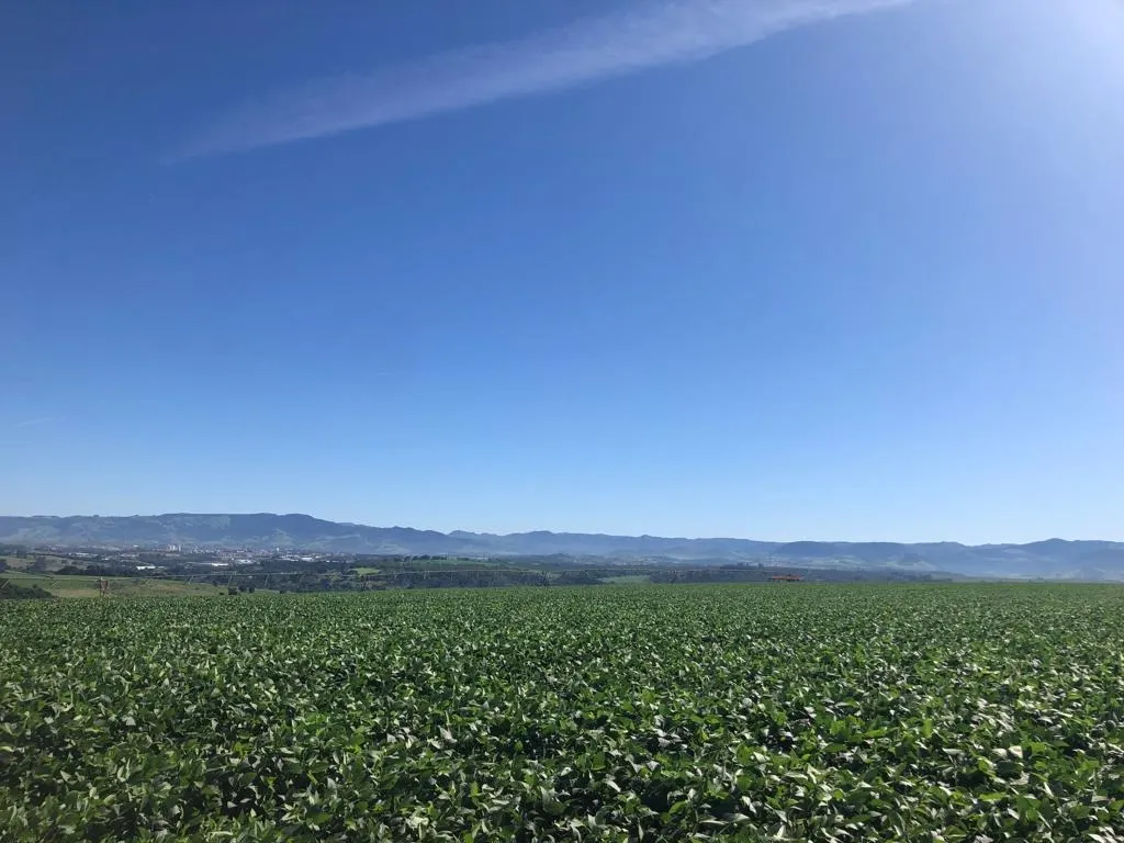 Farm for sale of 383 acres in São João da Boa Vista, SP, Brazil