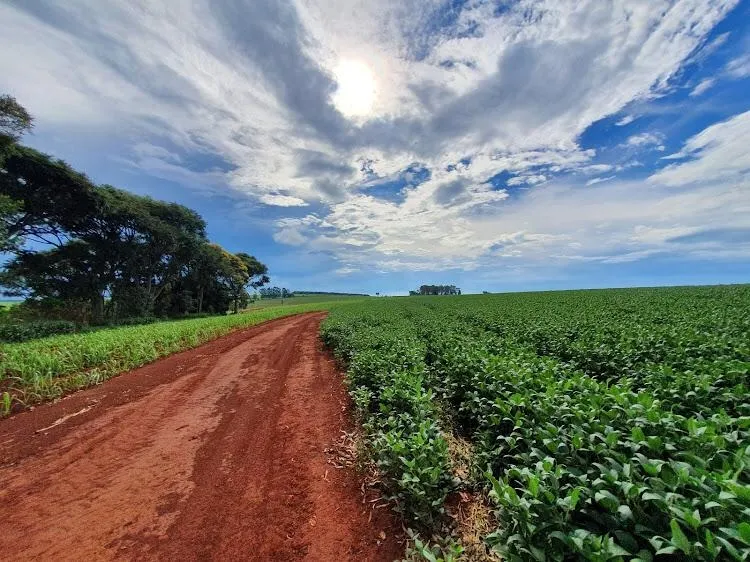 Farm for sale of 383 acres in São João da Boa Vista, SP, Brazil