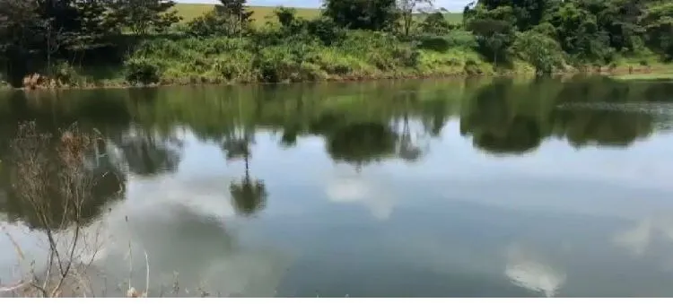 Farm for sale of 383 acres in São João da Boa Vista, SP, Brazil