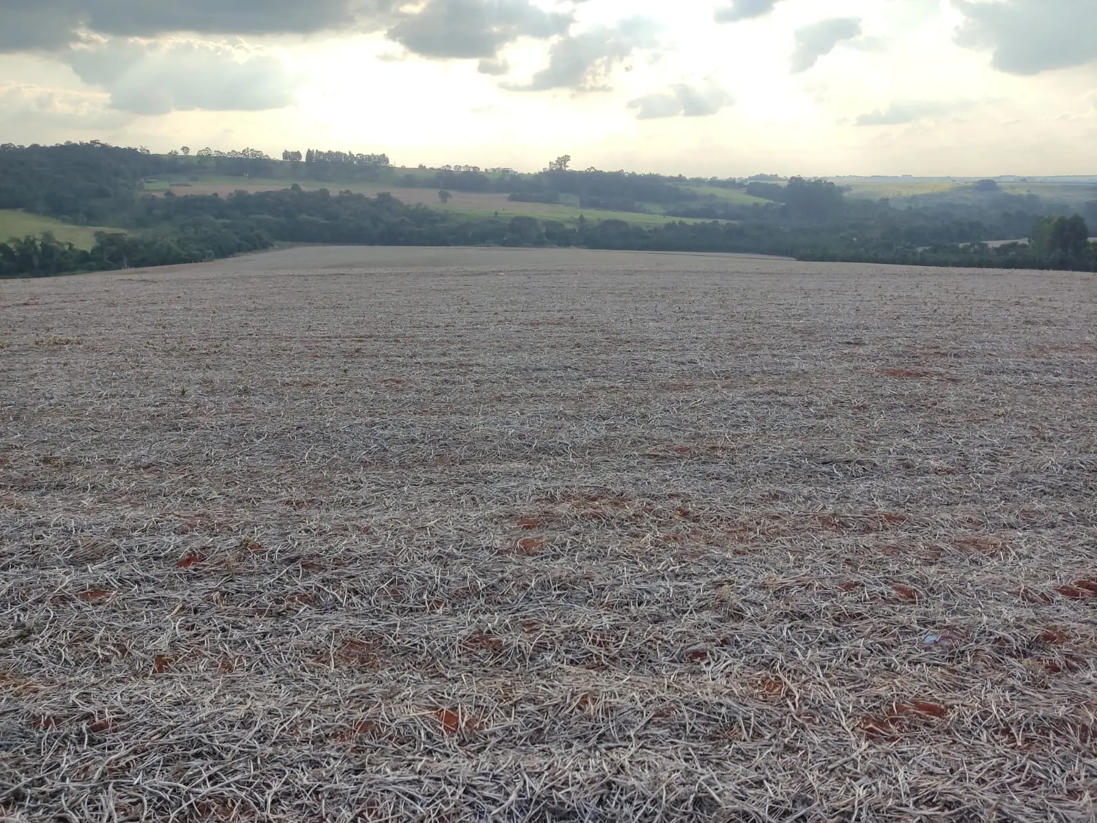 Small farm for sale of 144 acres in Itapetininga, SP, Brazil