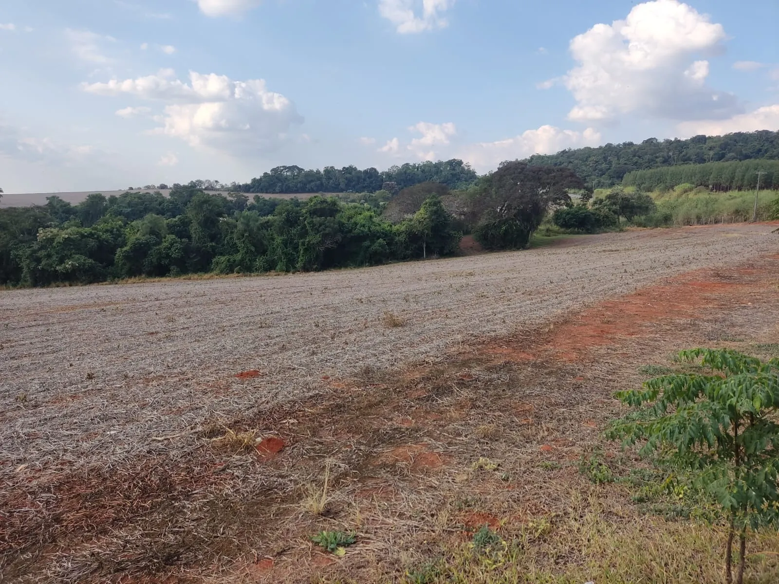 Small farm for sale of 144 acres in Itapetininga, SP, Brazil