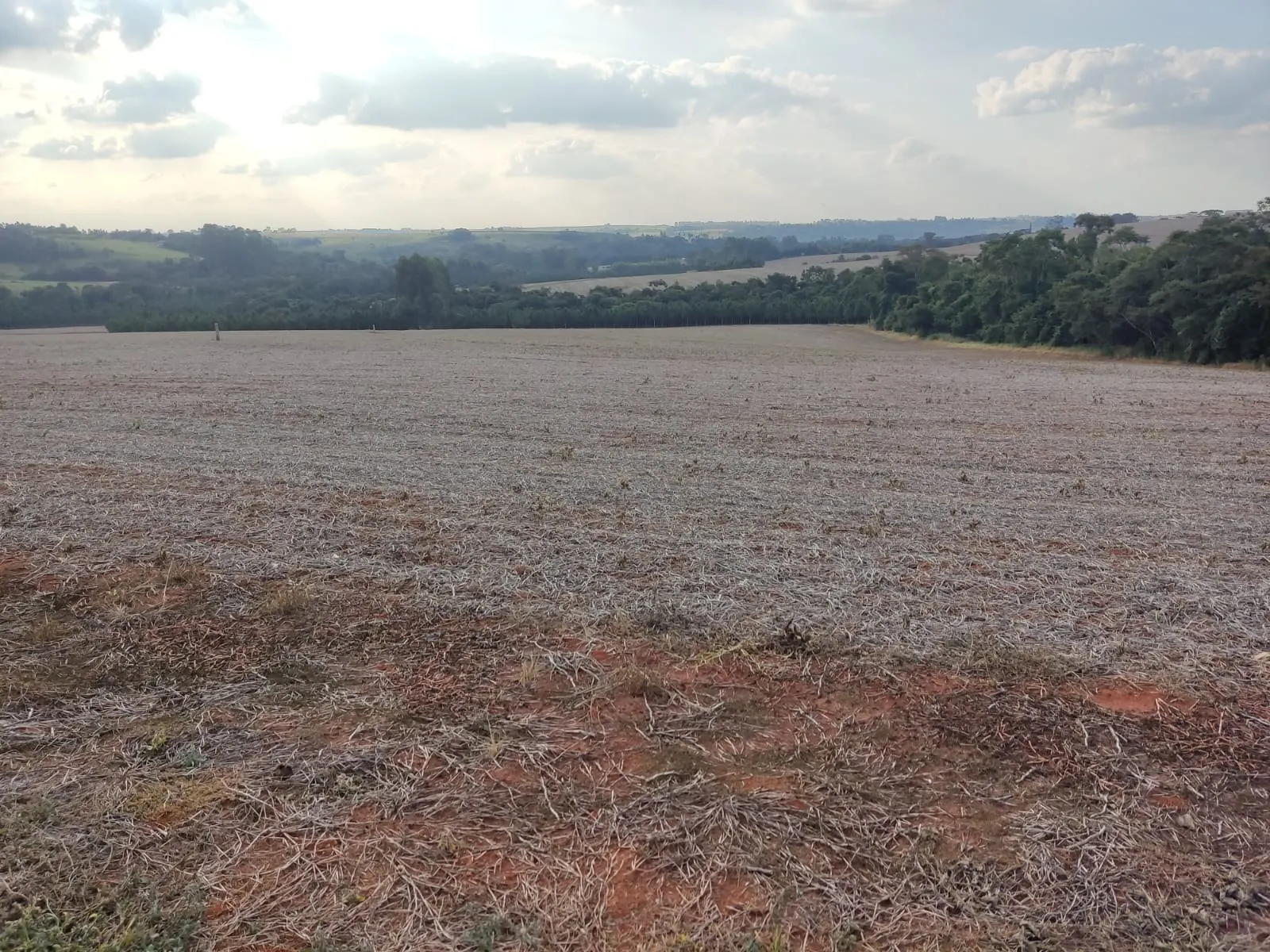 Small farm for sale of 144 acres in Itapetininga, SP, Brazil