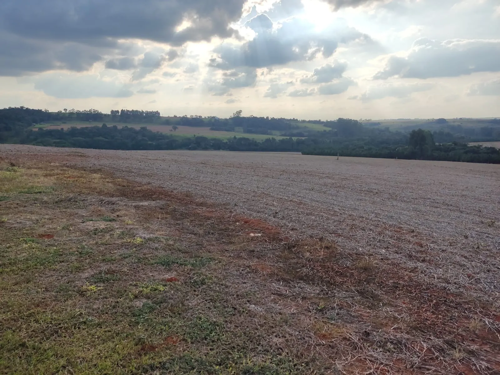 Small farm for sale of 144 acres in Itapetininga, SP, Brazil