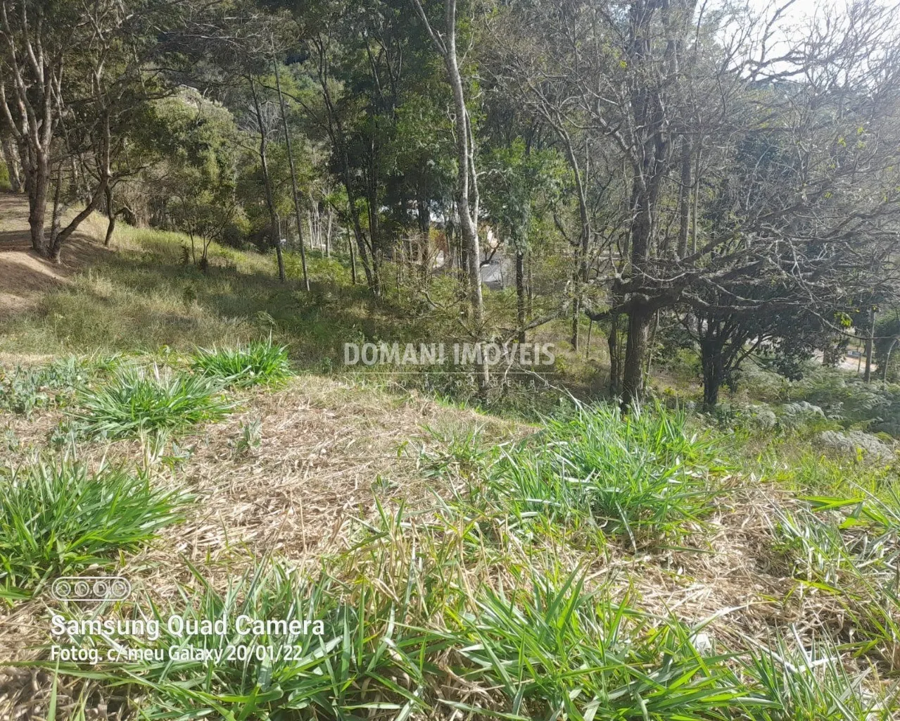 Terreno à venda de 7.300 m² em Santo Antônio do Pinhal, SP, Brasil