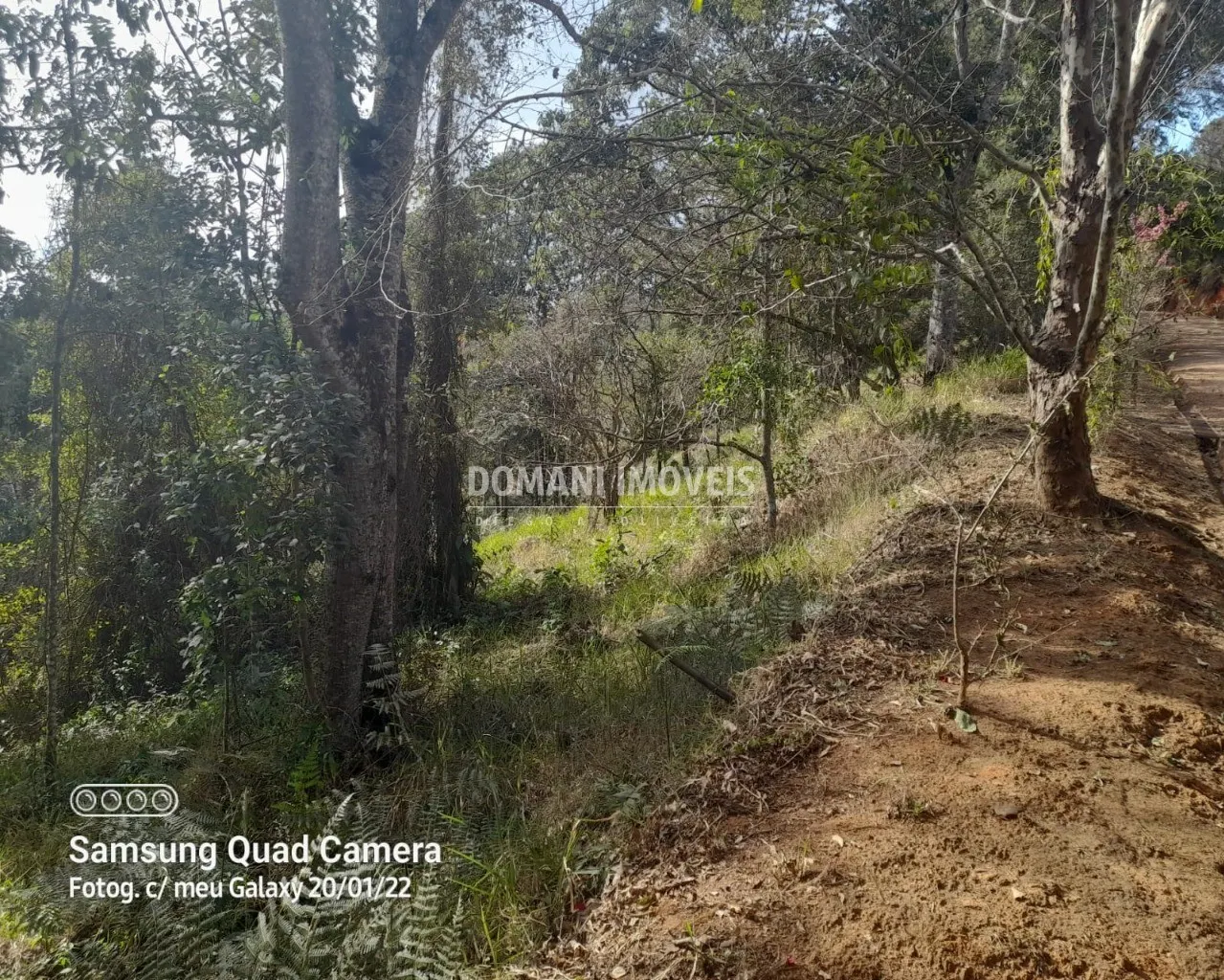 Terreno à venda de 7.300 m² em Santo Antônio do Pinhal, SP, Brasil