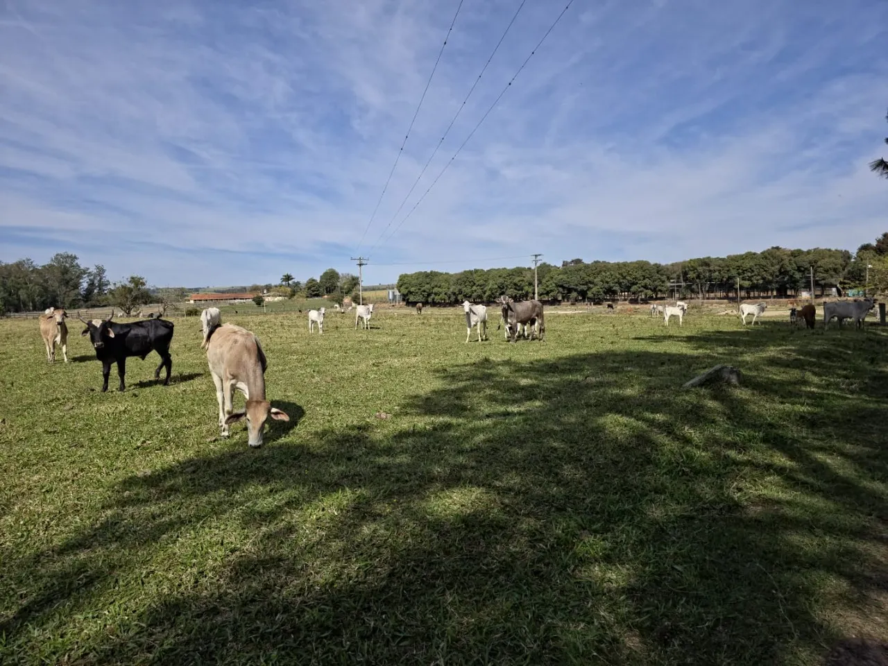 Fazenda à venda de 17 ha em Tatuí, SP, Brasil