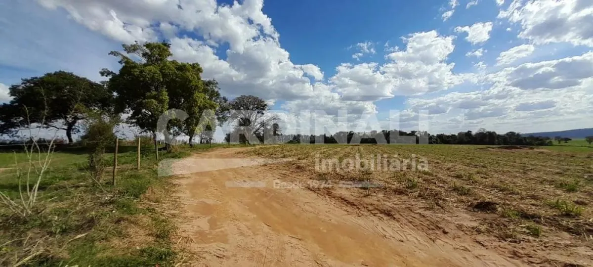 Sítio à venda de 24 ha em Descalvado, SP, Brasil
