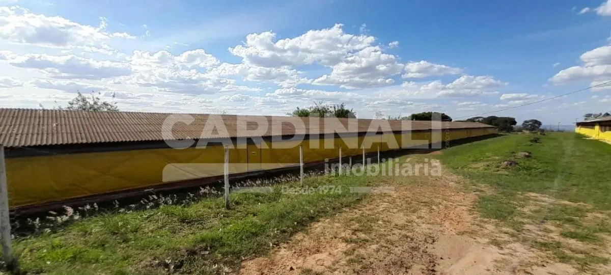 Sítio à venda de 24 ha em Descalvado, SP, Brasil