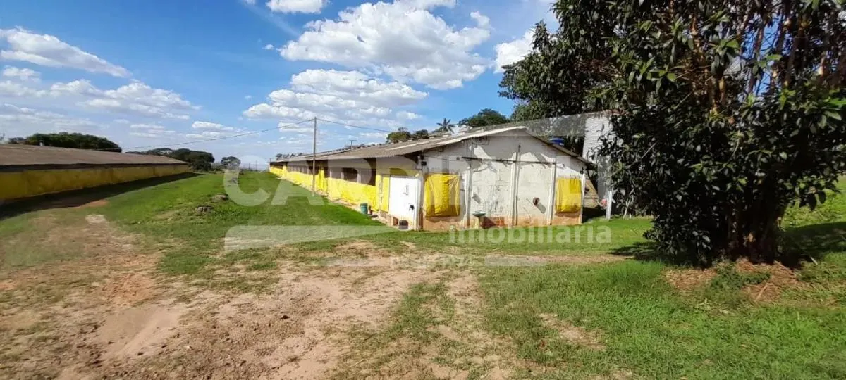 Sítio à venda de 24 ha em Descalvado, SP, Brasil