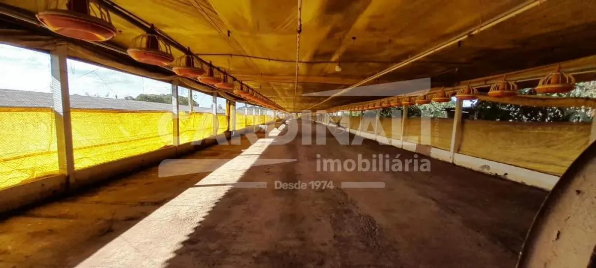 Sítio à venda de 24 ha em Descalvado, SP, Brasil