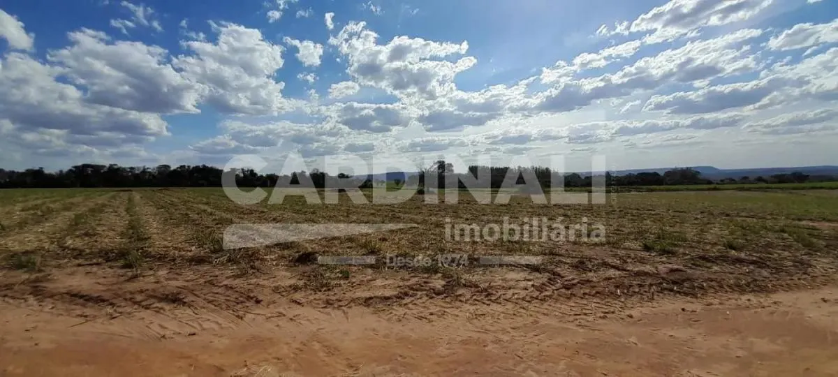 Sítio à venda de 24 ha em Descalvado, SP, Brasil