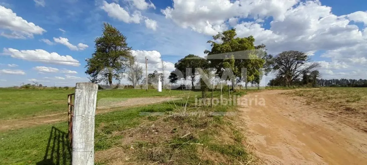 Sítio à venda de 24 ha em Descalvado, SP, Brasil