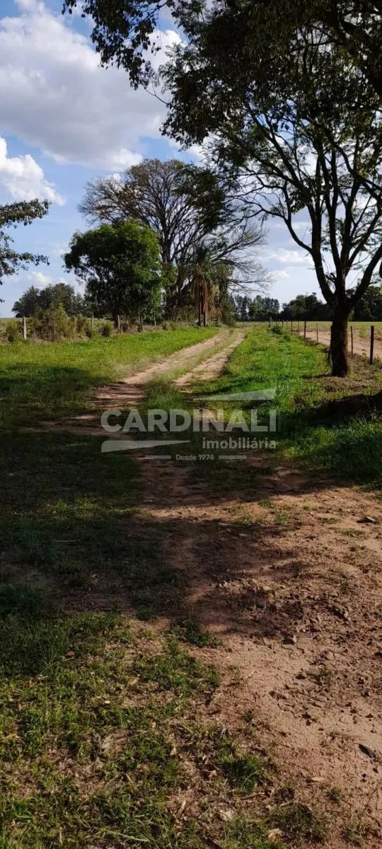 Sítio à venda de 24 ha em Descalvado, SP, Brasil