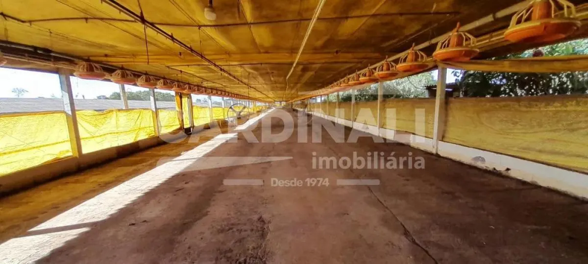 Sítio à venda de 24 ha em Descalvado, SP, Brasil