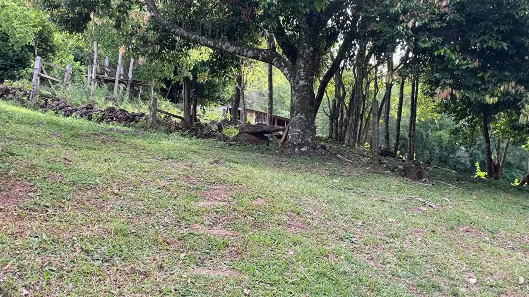 Small farm for sale of 36 acres in Caraá, RS, Brazil