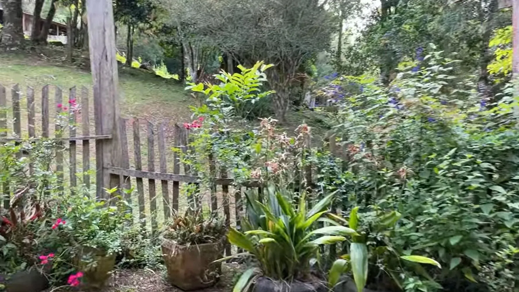 Small farm for sale of 36 acres in Caraá, RS, Brazil