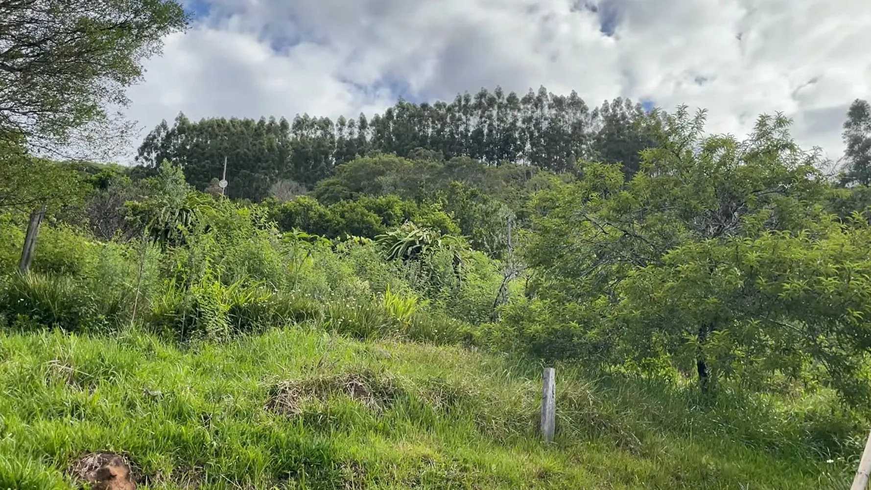 Sítio à venda de 15 ha em Caraá, RS, Brasil
