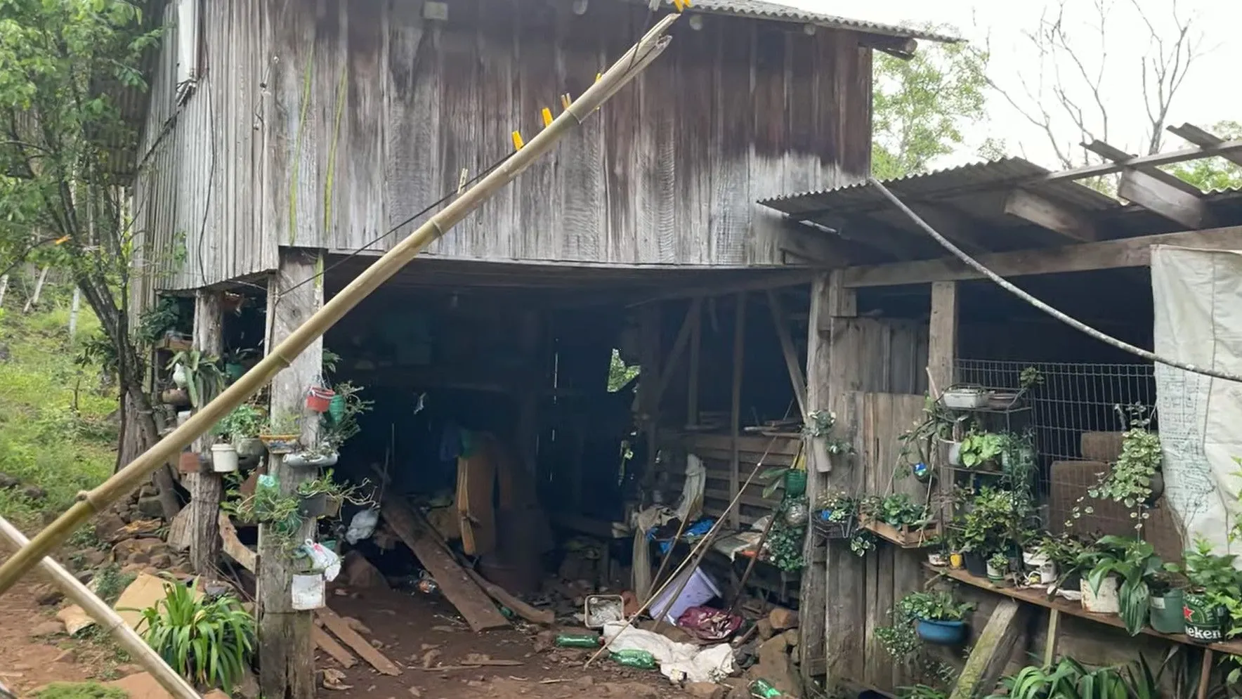 Small farm for sale of 36 acres in Caraá, RS, Brazil