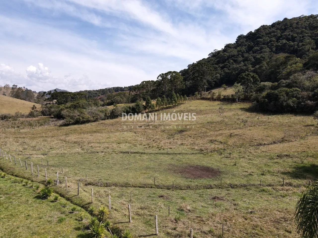 Small farm for sale of 10 acres in Campos do Jordão, SP, Brazil