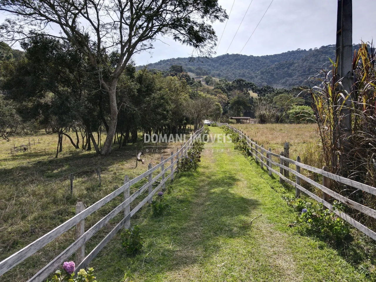 Small farm for sale of 10 acres in Campos do Jordão, SP, Brazil