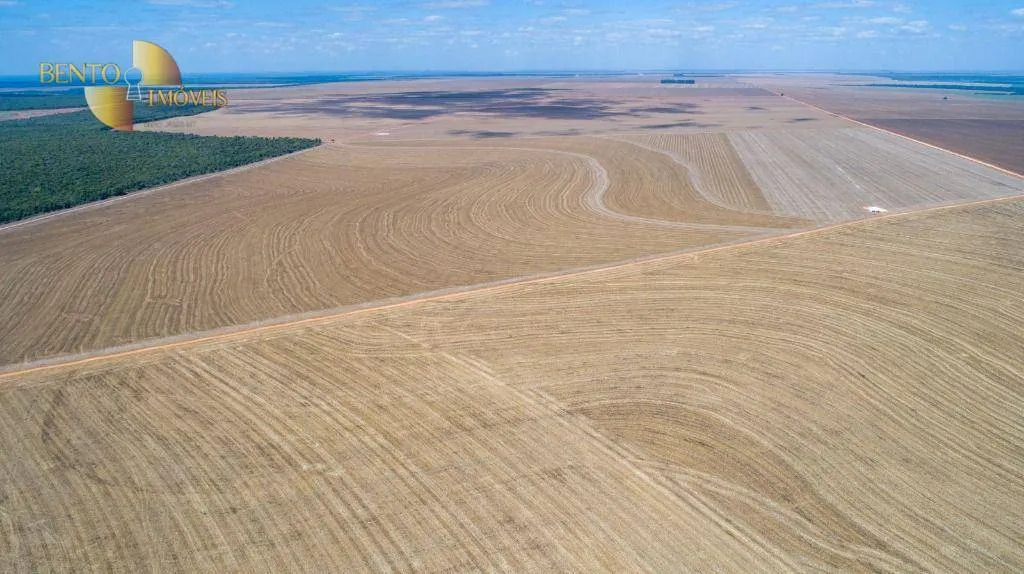 Fazenda à venda de 5.000 ha em Nova Maringá, MT, Brasil
