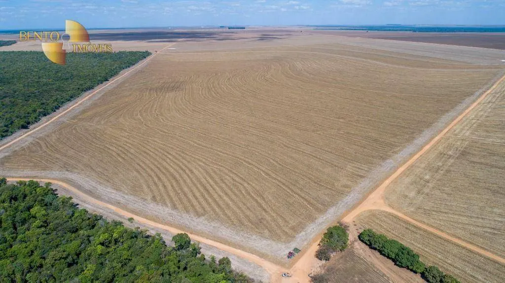 Fazenda à venda de 5.000 ha em Nova Maringá, MT, Brasil