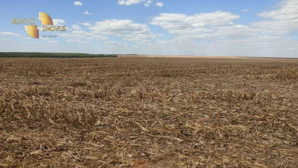 Fazenda à venda de 5.000 ha em Nova Maringá, MT, Brasil