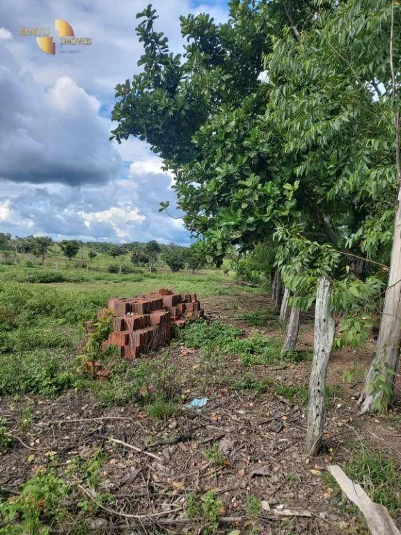 Fazenda à venda de 759 ha em Cáceres, MT, Brasil