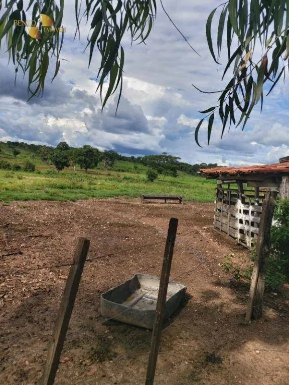 Fazenda à venda de 759 ha em Cáceres, MT, Brasil