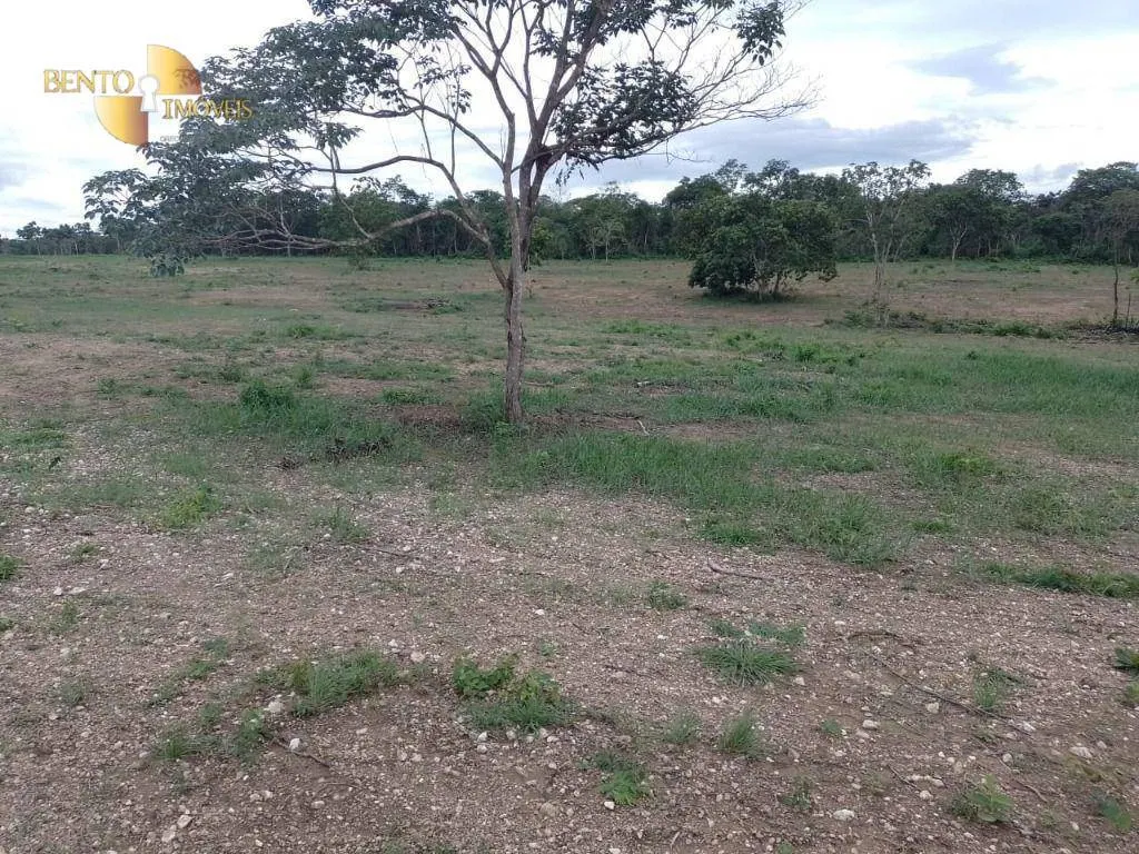 Fazenda à venda de 759 ha em Cáceres, MT, Brasil