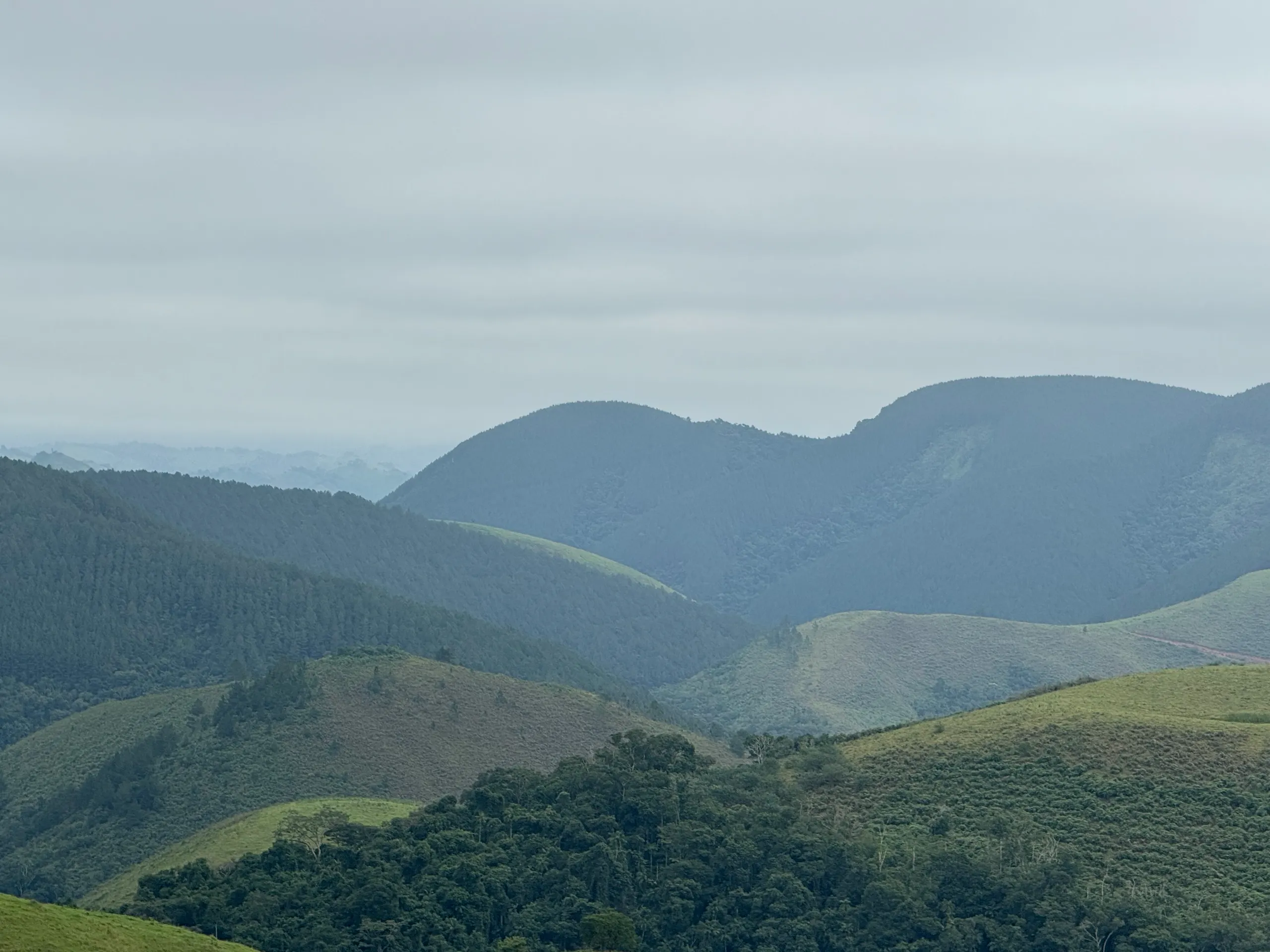 Fazenda à venda de 823 ha em Curitiba, PR, Brasil