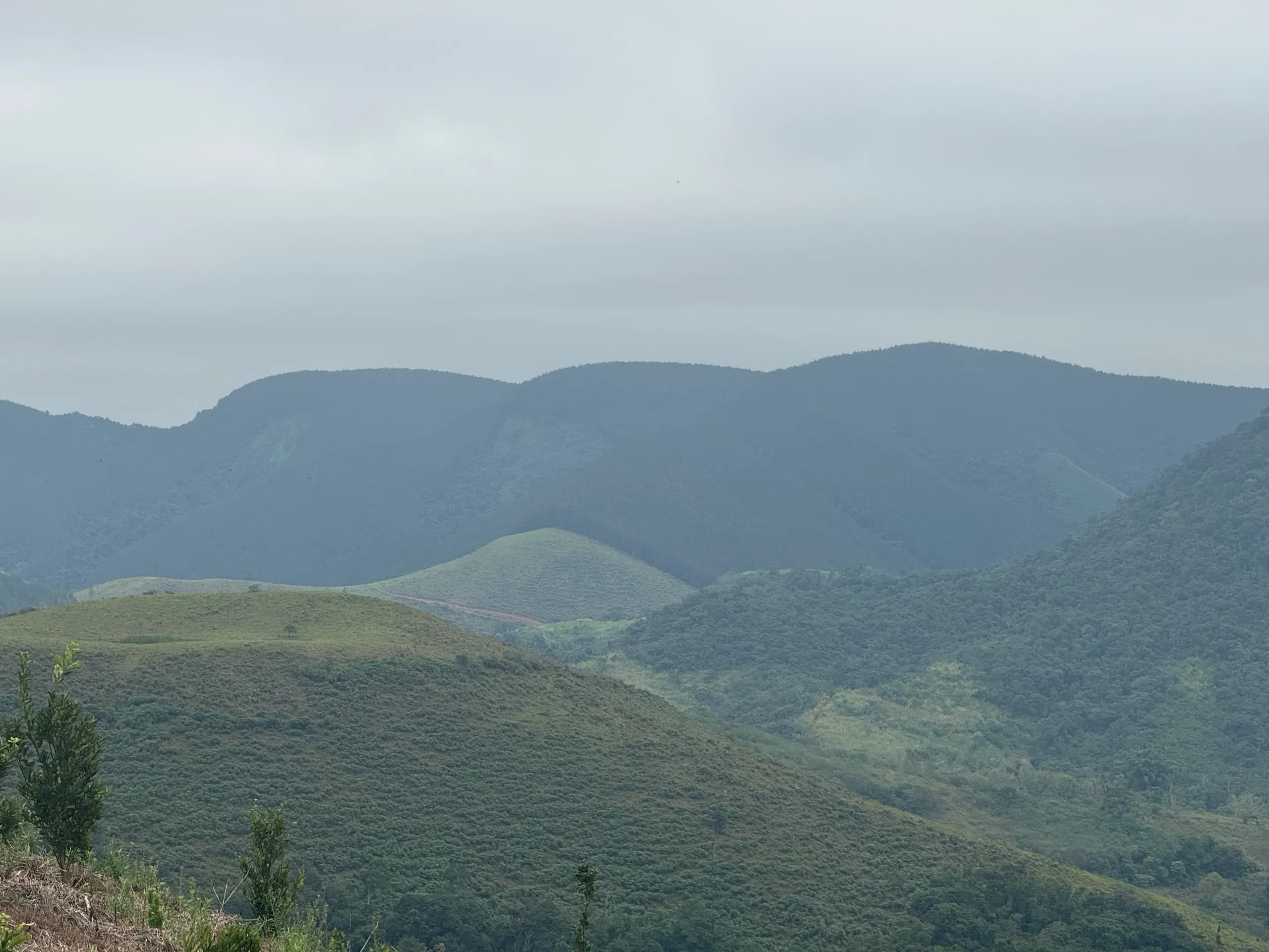 Fazenda à venda de 823 ha em Curitiba, PR, Brasil