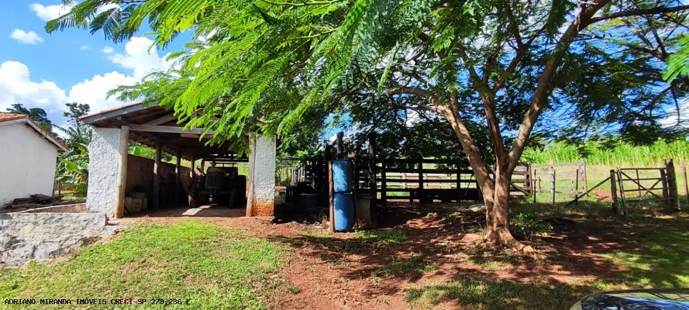 Sítio à venda de 15 ha em Piraju, SP, Brasil