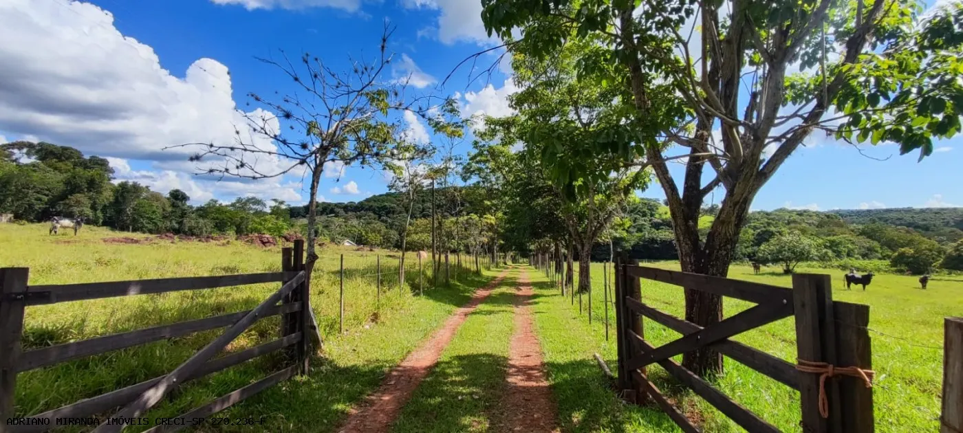 Small farm for sale of 36 acres in Piraju, SP, Brazil