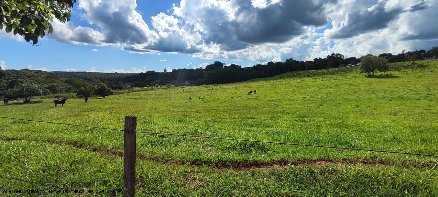 Sítio à venda de 15 ha em Piraju, SP, Brasil
