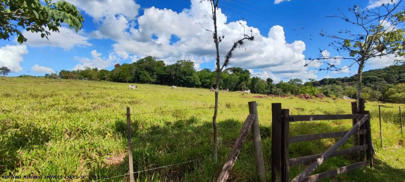 Sítio à venda de 15 ha em Piraju, SP, Brasil