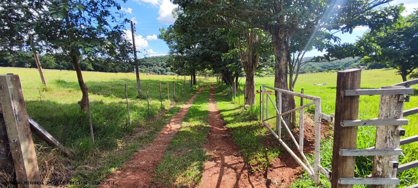 Sítio à venda de 15 ha em Piraju, SP, Brasil