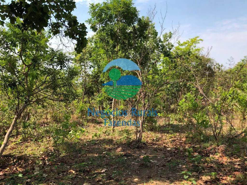 Fazenda à venda de 726 ha em Uruaçu, GO, Brasil