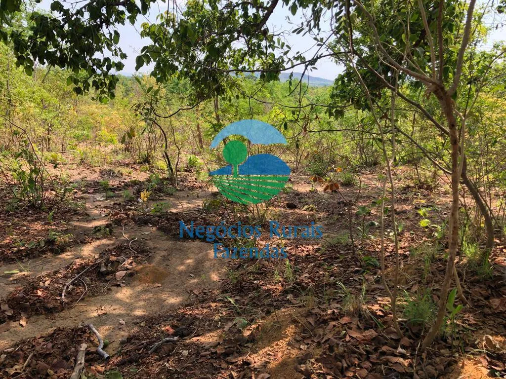 Fazenda à venda de 726 ha em Uruaçu, GO, Brasil