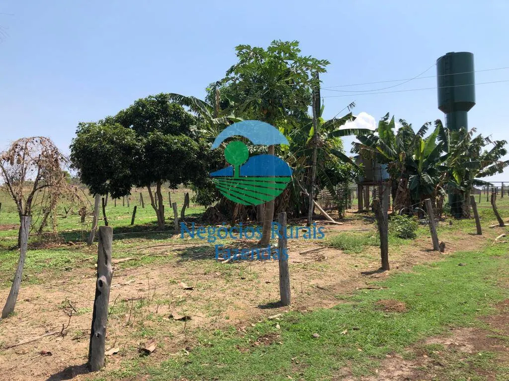 Fazenda à venda de 726 ha em Uruaçu, GO, Brasil