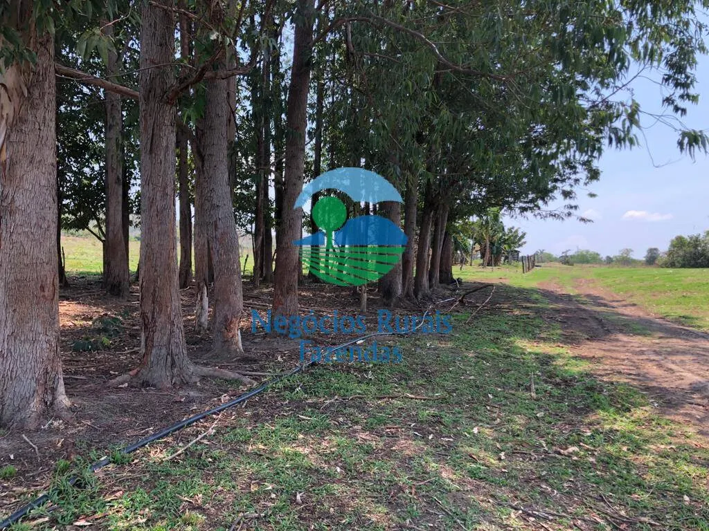 Fazenda à venda de 726 ha em Uruaçu, GO, Brasil
