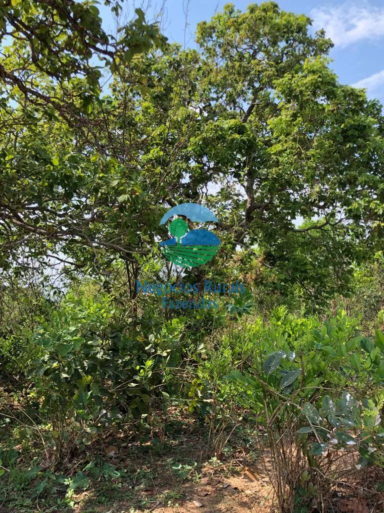 Fazenda à venda de 726 ha em Uruaçu, GO, Brasil