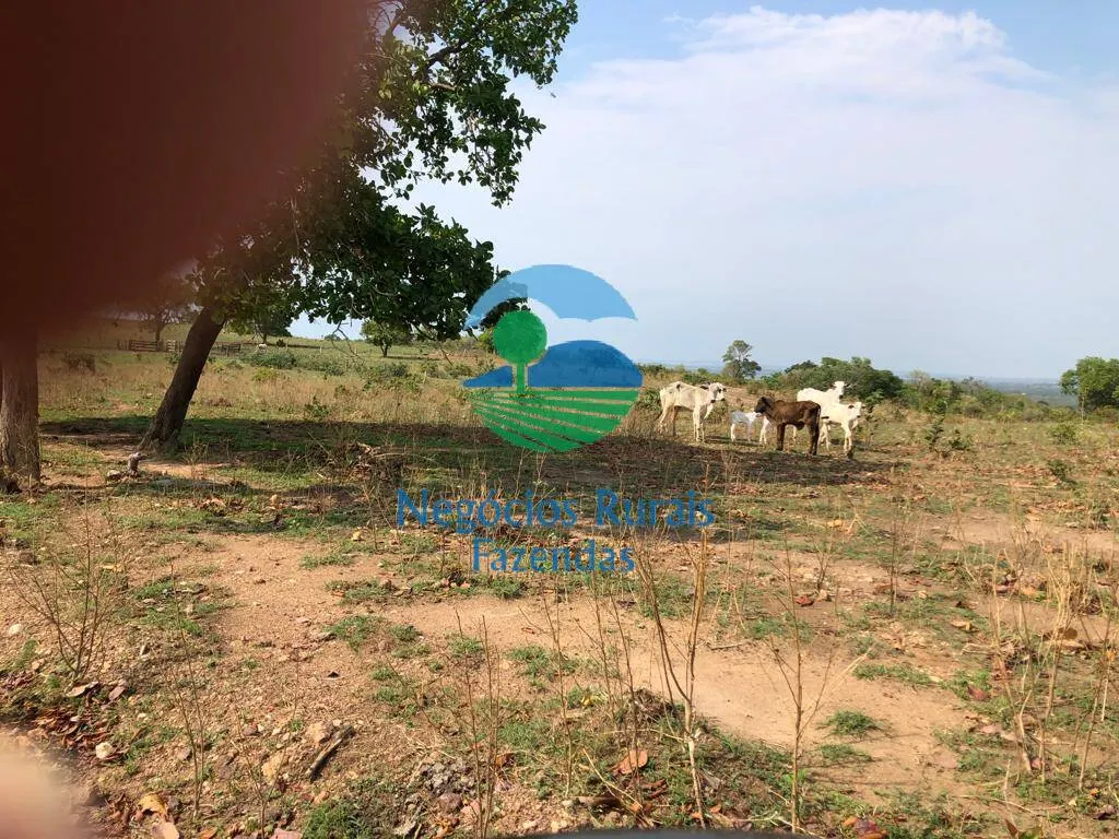 Fazenda à venda de 726 ha em Uruaçu, GO, Brasil
