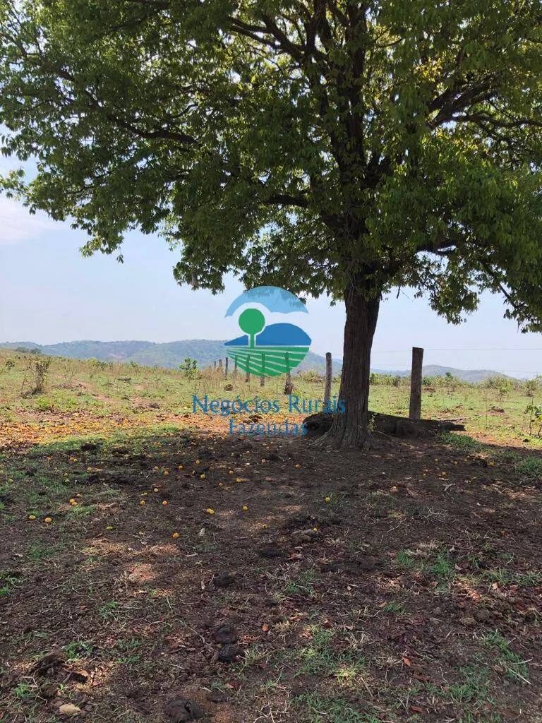 Fazenda à venda de 726 ha em Uruaçu, GO, Brasil