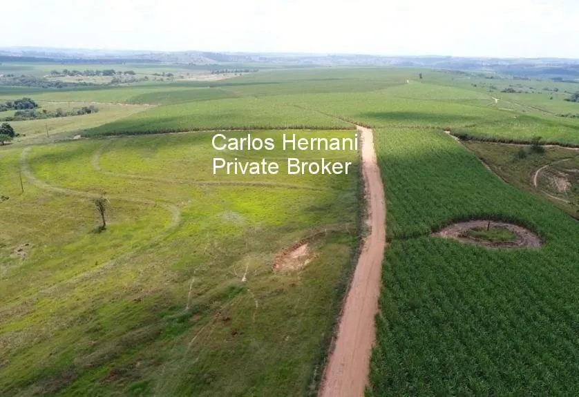 Fazenda à venda de 440 ha em Porto Feliz, SP, Brasil